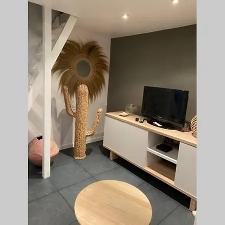 Adorable Cocon Hyper-centre , Terrasse,parking * Σαιντ-Μαξίμ